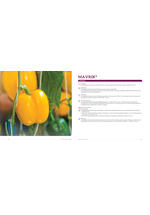 Adama katalog
