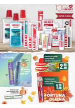 Fortuna market kataloška ponuda