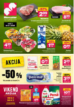 Mercator redni katalog