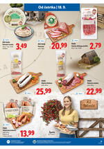 Lidl redni katalog