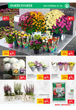 Spar katalog - Tjedna akcija