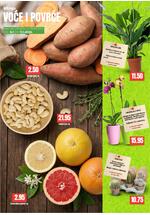 Bingo kataloška ponuda