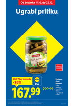 Lidl katalog akcija