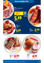 Lidl kataloška akcija