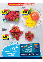 Hofer redni katalog