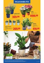 Lidl katalog akcija