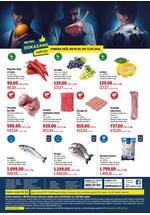 Katalog dokazano