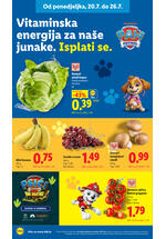 Lidl kataloška akcija
