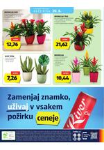 Hofer redni katalog