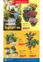Lidl katalog akcija