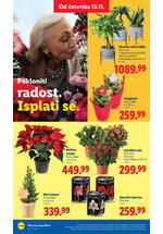 Lidl katalog akcija