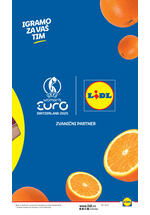 Lidl katalog akcija