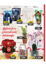 Idea katalog praznični magazin