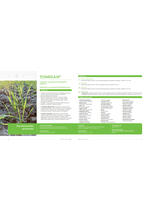 Adama katalog