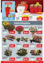 Plodine kataloška akcija