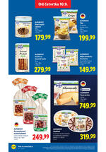 Lidl katalog akcija