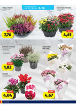Hofer katalog - Tedenska akcija