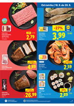 Lidl redni katalog
