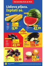 Lidl katalog akcija