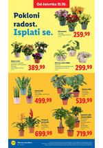Lidl katalog - Nedeljna akcija