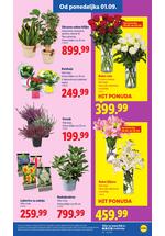 Lidl katalog akcija
