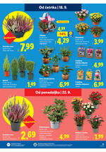 Lidl redni katalog