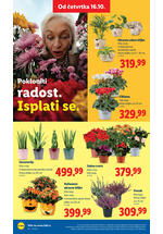Lidl katalog akcija