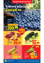 Lidl katalog akcija