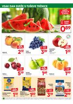 Tuš redni katalog