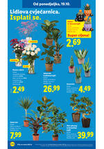 Lidl katalog - Tjedna akcija