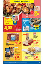 Lidl kataloška akcija