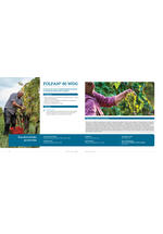 Adama katalog