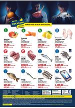 Katalog dokazano
