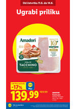 Lidl katalog akcija