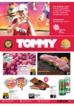 Akcijski katalog