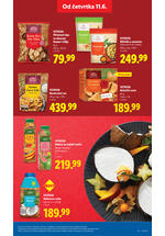 Lidl katalog akcija