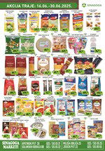 Sinagoga katalog akcija