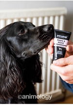 Pet centar akcijski katalog