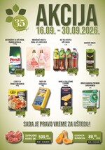 Sinagoga katalog akcija