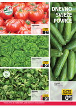 Tommy akcijski katalog