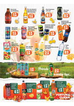 Fortuna market kataloška ponuda
