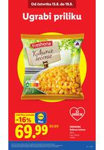 Lidl katalog akcija