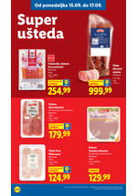 Lidl katalog akcija