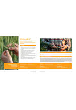 Adama katalog
