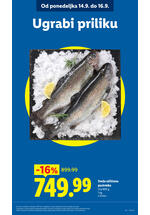 Lidl katalog akcija