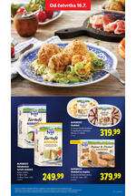 Lidl katalog akcija