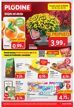 Kataloška akcija