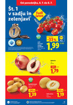 Lidl redni katalog