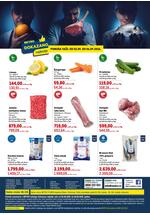 Katalog dokazano
