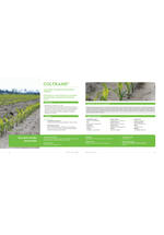 Adama katalog